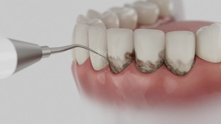 Reliable Dental contractor in Northville, MI by Dentist Open Now